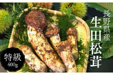 BE05-25B  梅松苑 生田まつたけ 松川町生田産 約400g 贈答 / 10月頃 発送予定 // 松川町産 長野県 まつたけ マツタケ 松茸 旬の野菜 秋の味覚 きのこ キノコ 天然松茸