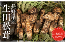 BE06-25B 梅松苑 家庭用 生田松茸 約200g  / 10月頃 発送予定 // 松川町産 長野県 まつたけ マツタケ 松茸 旬の野菜 秋の味覚 きのこ キノコ 天然松茸