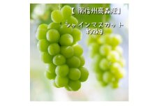 【南信州高森産】シャインマスカット 2kg 9月中旬より発送 長野県 信州 農家直送 果物 くだもの ぶどう 旬のぶどう シャイン 山吹ぶどう狩り組合