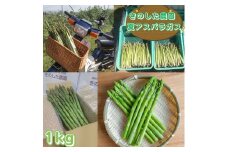 きのした農園の夏アスパラガス 2025年7月初旬より発送開始 長野県 信州 南信州 高森町 夏の味覚 夏の野菜 やさい 