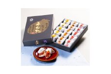 【南信州高森産】市田柿 化粧箱(雅) 15個入り・450g 2025年1月上旬発送開始 長野県 信州 柿 干し柿 贈答用 ギフト 個包装 3L 大粒 ドライフルーツ お茶請け 高級 和菓子 スイーツ プレゼント 自然食品 いちだ農産