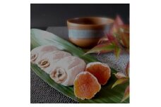 市田柿発祥の里 高森町の「市田柿」(L～2Lサイズ) 200g×6パック 12月上旬より発送開始 長野県 信州 南信州 柿 干し柿 ドライフルーツ お茶請け 高級 和菓子 スイーツ 自然食品 ご家庭用 宮下農園