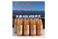 サンふじ100%りんごジュース(1L×12本) 長野県 信州 南信州 高森町 ストレートりんごジュース りんご リンゴ