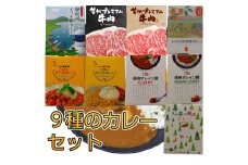 南信州仕立て9種のカレーセット 長野県 信州 高森町 柿 鹿肉 信州オレイン豚 信州福味鶏 牛肉 御前崎かつお節 信州セキュアフーズ