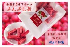 和漢ドライフルーツ「さんざし条」40g×10袋 長野県 信州 南信州 高森町 山査子 果実 おやつ 戸田屋