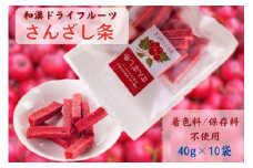 和漢ドライフルーツ「さんざし条」40g×10袋 長野県 信州 南信州 高森町 山査子 果実 おやつ 戸田屋