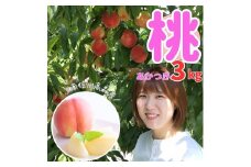 桃 あかつき 3kg（7～10個）7月下旬より発送 長野県 信州 南信州 高森町 農家直送 果物 くだもの もも モモ 旬 旬の果物 旬の桃 完熟収穫 ともの谷農園