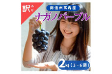 ナガノパープル 訳あり2kg（3～6房） 8月下旬より発送 長野県 信州 南信州 高森町 農家直送 果物 くだもの ぶどう 旬のぶどう パープル ご家庭用 ともの谷農園