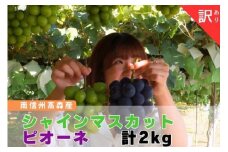 ピオーネとシャインマスカットセット 訳あり2㎏（3～6房） 長野県 信州 南信州 高森町 農家直送 果物 くだもの ぶどう 旬のぶどう ぶどうのセット ぶどう2種 ご家庭用 ともの谷農園
