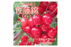 南信州高森産さくらんぼ 佐藤錦L 400ｇ【6月中旬より発送】