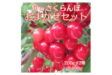 南信州高森産 旬のさくらんぼおまかせ2種セット 400g【6月中旬より発送】