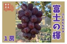 【南信州高森産】希少ぶどう 富士の輝 1房 長野県 信州 農家直送 果物 くだもの ぶどう 旬のぶどう 鶴屋農園