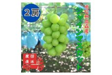 【南信州高森産】シャインマスカット 2房 長野県 信州 農家直送 果物 くだもの ぶどう 旬のぶどう シャイン 鶴屋農園