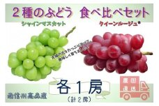 【数量限定】2種のぶどう(シャインマスカット・クイーンルージュ(R))食べ比べセット 計2房 長野県 信州 南信州 高森町 農家直送 果物 くだもの ぶどう 旬のぶどう 鶴屋農園