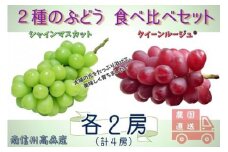【数量限定】2種のぶどう(シャインマスカット・クイーンルージュ(R))食べ比べセット 計4房 長野県 信州 南信州 高森町 農家直送 果物 くだもの ぶどう 旬のぶどう 鶴屋農園