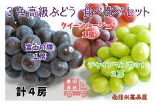 【数量限定】3色高級ぶどう(シャインマスカット、クイーンルージュ(R)、富士の輝)食べ比べセット 4房 長野県 信州 南信州 高森町 農家直送 果物 くだもの ぶどう 旬のぶどう 鶴屋農園
