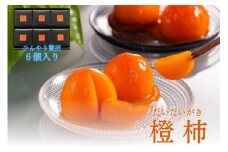 長野県高森町産市田柿を使用　夏のデザート「橙柿（だいだいがき）」６個 信州 南信州 柿 干し柿 かき 高級 和菓子 天然スイーツ 和スイーツ スイーツ ひんやり シャーベット 自然の甘味 戸田屋