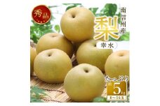 【南信州産】梨「幸水」秀品約5kg（8玉～16玉） 2025年8月下旬より発送 長野県 信州 高森町 産地直送 果物 くだもの なし ナシ 和梨 旬 旬の果物 旬の梨 ギフト 贈答こうすい JAみなみ信州