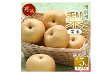 【南信州産】梨「南水」秀品約5kg（8玉～16玉） 2025年9月中旬より発送 長野県 信州 高森町 産地直送 果物 くだもの なし ナシ 和梨 旬 旬の果物 旬の梨 なんすい ギフト 贈答 JAみなみ信州