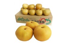 8月中旬より順次発送予定！【長野県高森町】南信州産 幸水 5kg 信州 産地直送 果物 くだもの なし ナシ 和梨 旬 旬の果物 旬の梨 こうすい 株式会社マツザワ
