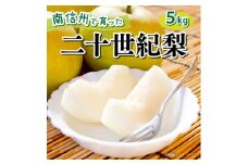 9月中旬より順次発送予定！【長野県高森町】青梨の銘品!! 二十世紀梨 5kg 州 南信州 産地直送 果物 くだもの なし ナシ 和梨 旬 旬の果物 旬の梨 株式会社マツザワ