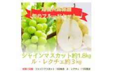 【発送月固定定期便】旬のフルーツセット シャインマスカット約1.8kg/ル・レクチェ約3kg 全2回 長野県 信州 南信州 高森町 くだもの 果物 ぶどう 洋梨 西洋梨
