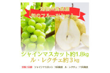 【発送月固定定期便】旬のフルーツセット シャインマスカット約1.8kg/ル・レクチェ約3kg 全2回 長野県 信州 南信州 高森町 くだもの 果物 ぶどう 洋梨 西洋梨