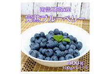 完熟ブルーベリー 500g【7月初旬より発送】