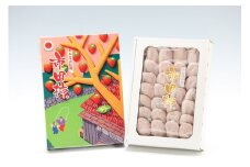 贈答用 【南信州産】 市田柿 700ｇ化粧箱 （20～28粒入り） 12月15日以降発送 長野県 信州 高森町 柿 干し柿 かき 高級 和菓子 お茶請け ドライフルーツ 自然食品 ギフト プレゼント お歳暮 年内発送 JAみなみ信州