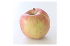 【訳あり品】 長野県産・サンふじ (約5kg)  2026年1月上旬より発送 信州 南信州 高森町 産地直送 果物 くだもの 旬のりんご ご家庭用 山下屋荘介