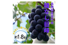 【南信州高森産】種なし巨峰 約1.8kg 8月中旬より発送 長野県 信州 農家直送 果物 くだもの ぶどう 旬のぶどう きょほう タネナシ 種ナシ 