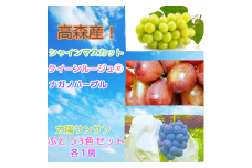 太陽サンサン ぶどう３色セット 各1房 9月上旬より発送 長野県 信州 南信州 高森町 農家直送 果物 くだもの ぶどう 旬のぶどう シャインマスカット クイーンルージュ(R) ナガノパープル サングレープ