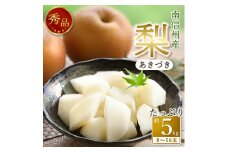 【南信州産】梨「あきづき」秀品約5kg（8玉～16玉） 2025年9月中旬より発送 長野県 信州 高森町 産地直送 果物 くだもの なし ナシ 和梨 旬 旬の果物 旬の梨 秋月 ギフト 贈答 JAみなみ信州