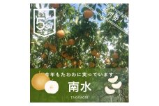 【南信州高森産】梨(南水)5kg 9月下旬より順次発送 長野県 信州 農家直送 果物 くだもの なし ナシ 和梨 赤梨 旬 旬の果物 旬の梨 なんすい 清水誠