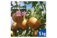 【南信州高森産】梨(豊水)5kg 9月中旬より順次発送 長野県 信州 農家直送 果物 くだもの なし ナシ 和梨 旬 旬の果物 旬の梨 ほうすい 清水誠