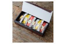北城農園プレミアムドライアップル（25g×6袋) 長野県 信州 南信州 高森町 りんご ドライフルーツ シナノスイート シナノゴールド サンふじ おやつ おつまみ 朝食 小袋 ポケットサイズ 北城農園