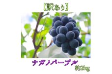 【訳あり】ナガノパープル 2kg 9月より発送開始 長野県 信州 南信州 高森町 農家直送 果物 くだもの ぶどう 旬のぶどう パープル ご家庭用 サングレープ