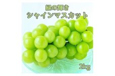 【南信州高森産】緑の輝きシャインマスカット2kg 9月より順次発送 長野県 信州 農家直送 果物 くだもの ぶどう 旬のぶどう シャイン