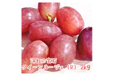 【南信州高森産】深紅の宝石クイーンルージュ(R)  2kg 9月より順次発送 長野県 信州 農家直送 果物 くだもの ぶどう 旬のぶどう ルージュ
