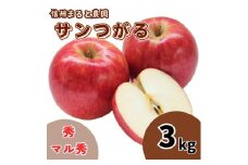 信州まると農園の完熟りんごサンつがる 3kg (秀・マル秀 混在) 長野県 信州 南信州 高森町 農家直送 果物 くだもの 旬のりんご