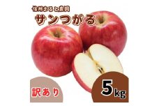 信州まると農園の【訳あり】完熟りんご サンつがる 5kg 長野県 信州 南信州 高森町 農家直送 果物 くだもの 旬のりんご ご家庭用