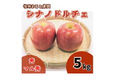 信州まると農園の完熟りんご シナノドルチェ 5kg (秀・マル秀 混在) 長野県 信州 南信州 高森町 農家直送 果物 くだもの 旬のりんご