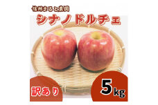 信州まると農園の【訳あり】完熟りんご シナノドルチェ 5kg 長野県 信州 南信州 高森町 農家直送 果物 くだもの 旬のりんご ご家庭用