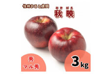 信州まると農園の完熟りんご 秋映 3kg (秀・マル秀 混在) 長野県 信州 南信州 高森町 農家直送 果物 くだもの 旬のりんご