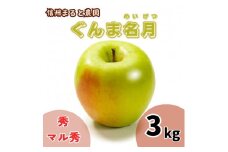 信州まると農園の完熟りんご ぐんま名月 3kg (秀・マル秀 混在) 長野県 信州 南信州 高森町 農家直送 果物 くだもの 旬のりんご