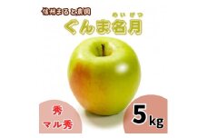 信州まると農園の完熟りんご ぐんま名月 5kg (秀・マル秀 混在) 長野県 信州 南信州 高森町 農家直送 果物 くだもの 旬のりんご