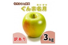 信州まると農園の【訳あり】完熟りんご ぐんま名月 3kg 長野県 信州 南信州 高森町 農家直送 果物 くだもの 旬のりんご ご家庭用