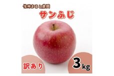 信州まると農園の【訳あり】完熟りんご サンふじ 3kg 長野県 信州 南信州 高森町 農家直送 果物 くだもの 旬のりんご ご家庭用