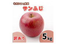 信州まると農園の【訳あり】完熟りんご サンふじ 5kg 長野県 信州 南信州 高森町 農家直送 果物 くだもの 旬のりんご ご家庭用