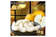 【南信州高森産】梨界の甘さ番長 南水3kg ９月下旬発送 長野県 信州 農家直送 果物 くだもの なし ナシ 和梨 旬 旬の果物 旬の梨 なんすい 萩山農園